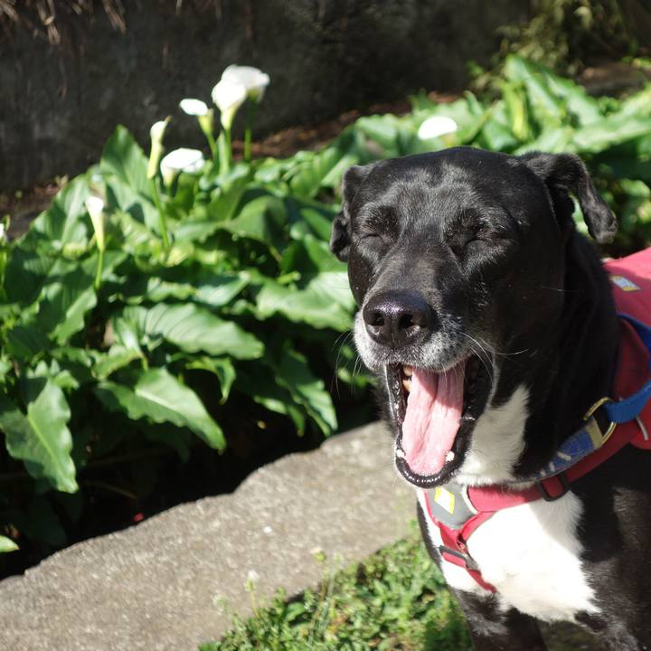 689d6be7 07d0 4a8f b541 ca724bbdf646 1681346227312