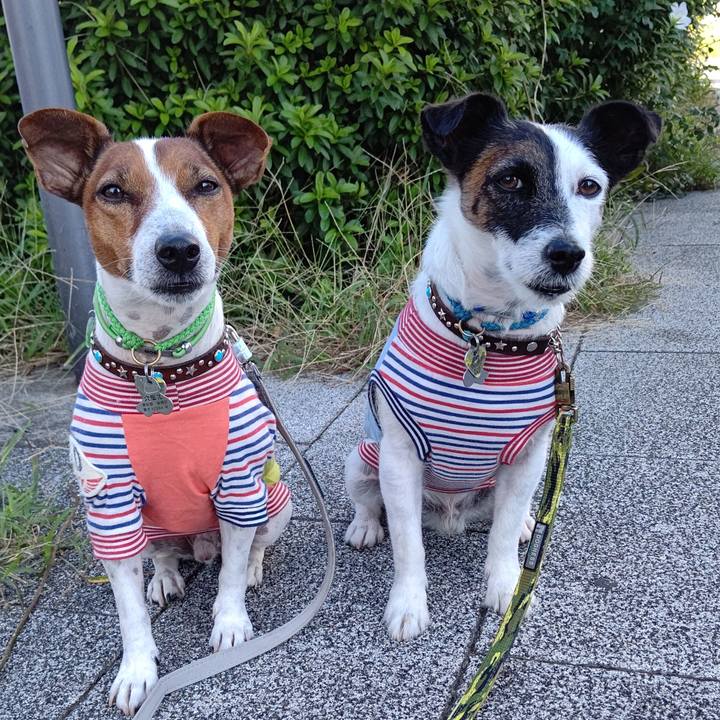 689d7860 bbce 42e9 98e6 b2d213e529c4 1664320005704