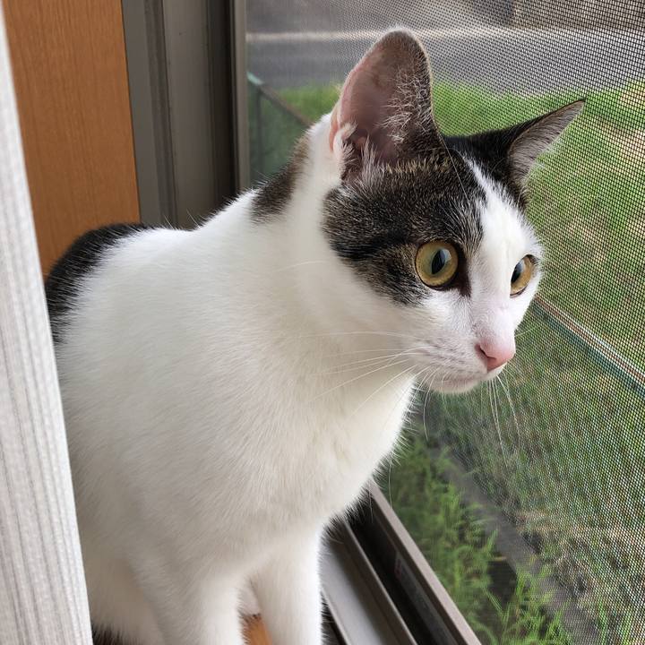 689da993 37b0 420d 871c 2c00967346da 1596835262082