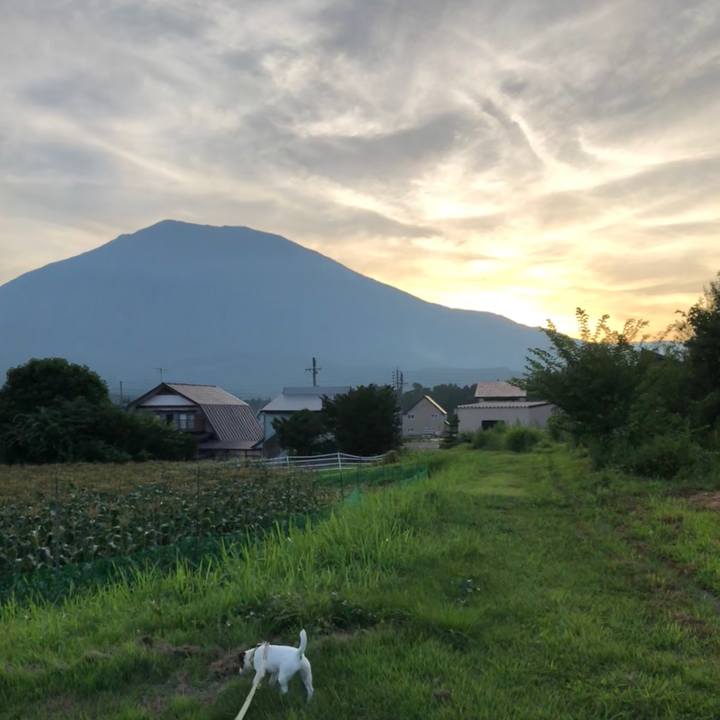 689daa6b 9ef5 48b3 8336 0680e40b4344 1532526076124