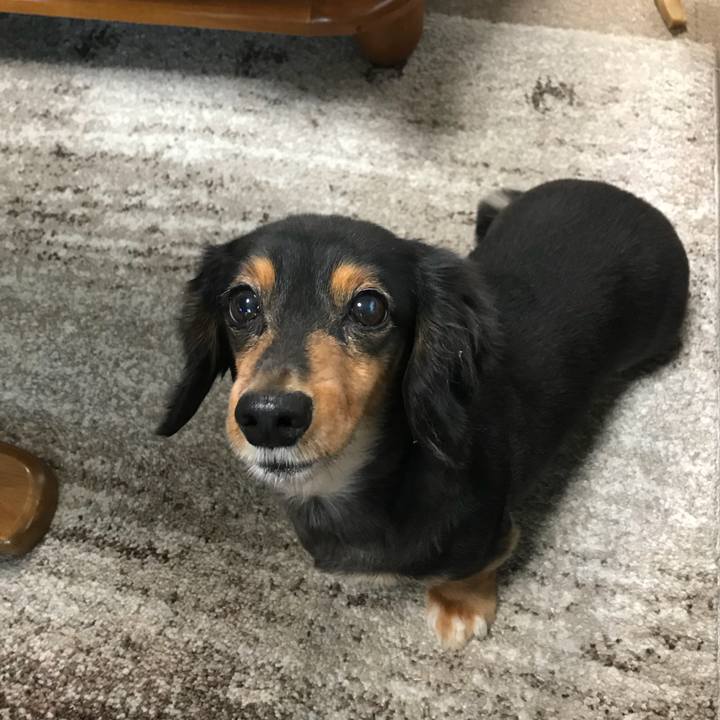 689dad32 4f40 4465 87c5 5912341bb4dc 1508450301823