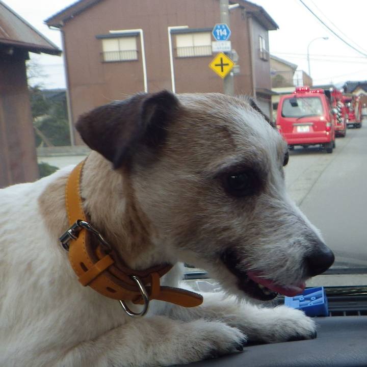 689dc333 58de 486c 9fb1 7e162c389ac9 1553152353996