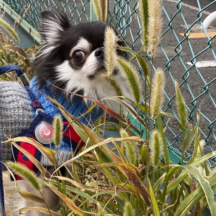 689dc4cf 03c3 479c 8862 06379610a5f9 1707026799469