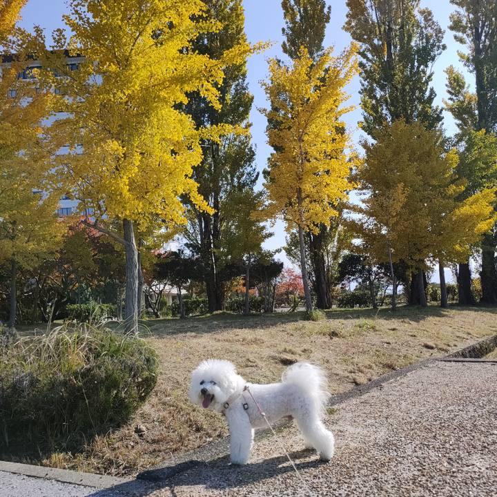 689dcc68 1b15 4377 83f6 b7b46958c4e6 1763940070801