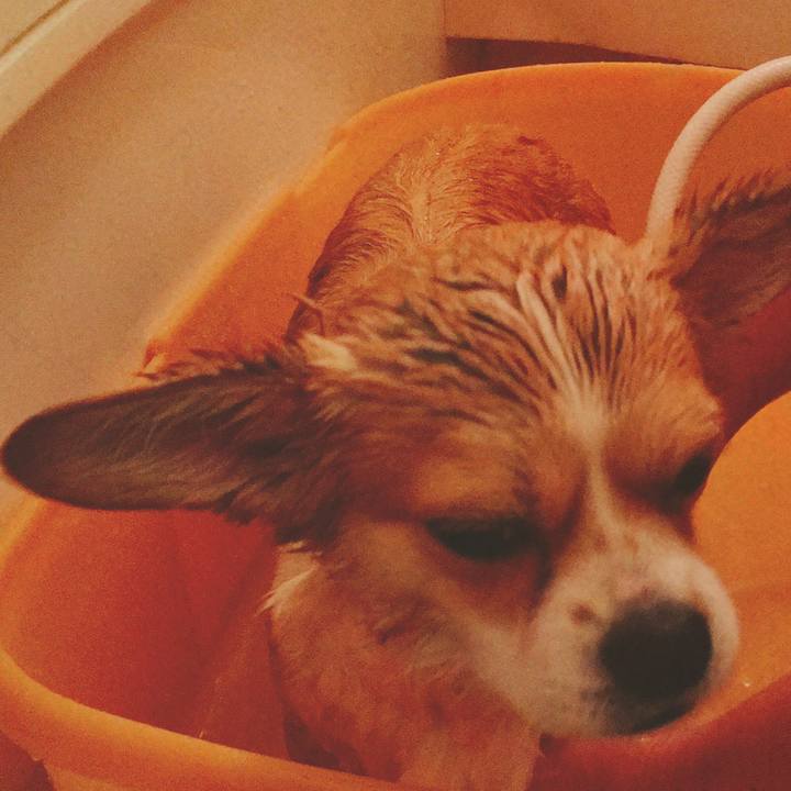 689dd049 4a6f 4712 978b e561c2ee13d8 1577097219290