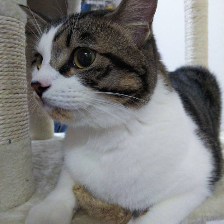 689dd3d8 c2fe 4475 ba3a 1b186d918a76 1630756527563