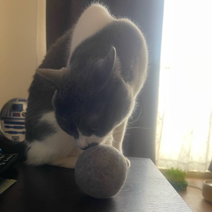 689df20e 7981 4ceb 8c52 2a3306d5cafb 1713067408094