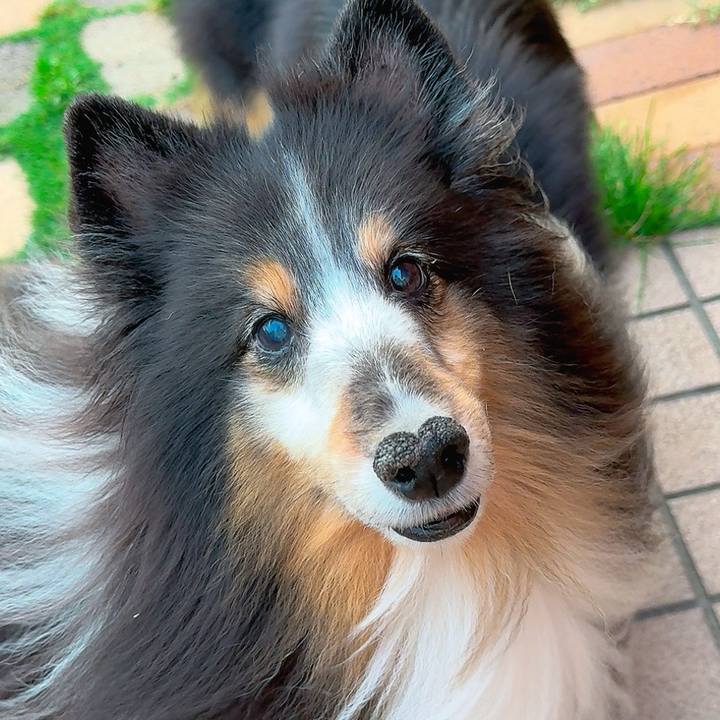 689df26c e178 4dac bdf5 5652e3c542c0 1750526523653