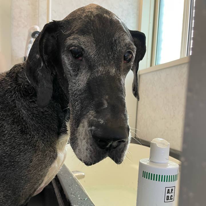 689df795 d758 4a30 9c7b e41f37ab70b7 1650755264501