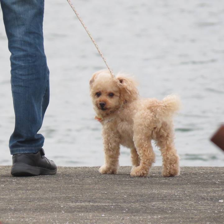 689e3353 bb46 4efc 86b1 a52647943cb0 1591422968875