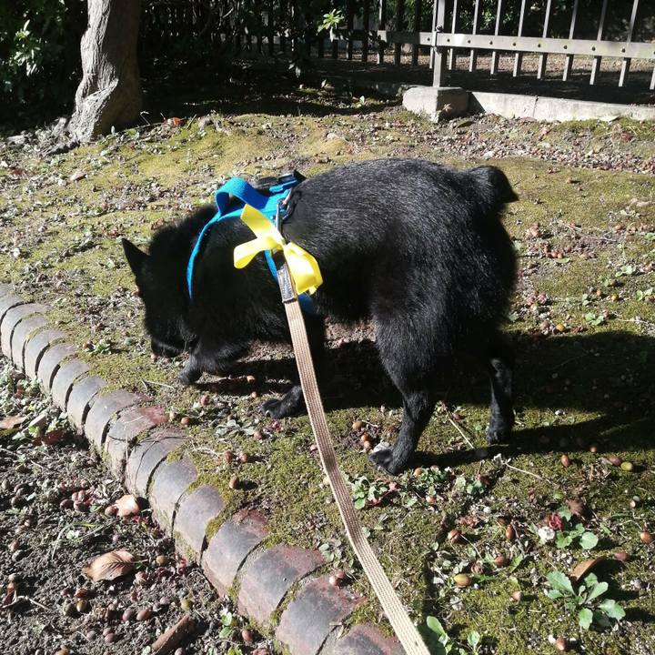 689e5417 0545 4bdb 8021 d1140cf6be2c 1636761558183