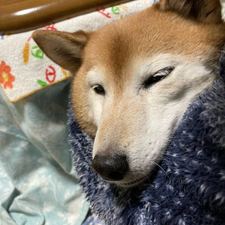 689e76c4 6f0b 4f14 8314 e0da56f922e8 1738400672008