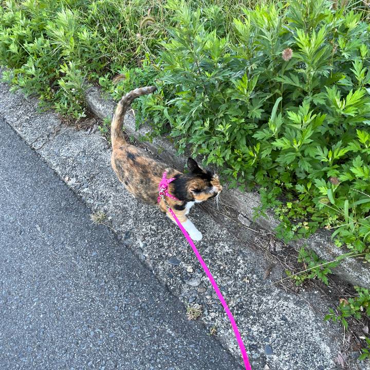 689ed3b0 048b 45c6 ac38 9301b4b91181 1664583416192