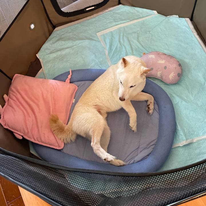 689edc48 091f 4f24 b842 fd0fa8b2426d 1653480481840