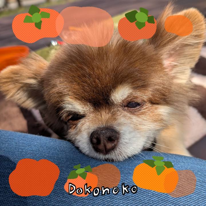 689ef670 3612 4332 9161 384a15d2169d 1761257988235