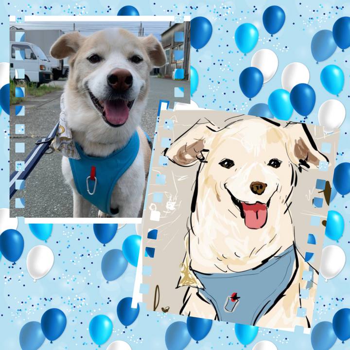 689f0c3e 6404 470d bc10 e0fb4b7c89f4 1661438828943