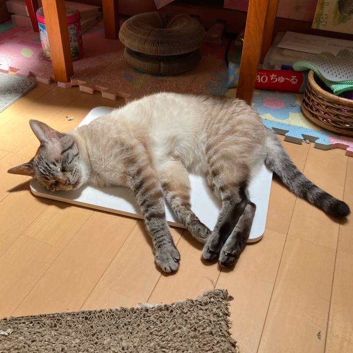 689f581d 7f5f 4d38 9cb2 1ff9b78c6005 1757987396307