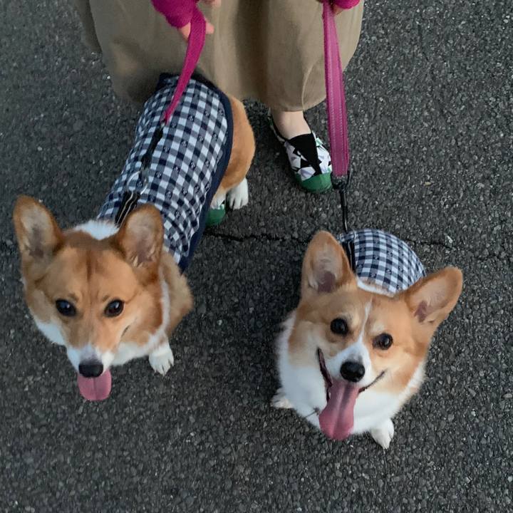 689fda4d 7b9a 4708 8f5f 4ac3a82686f7 1559133967350