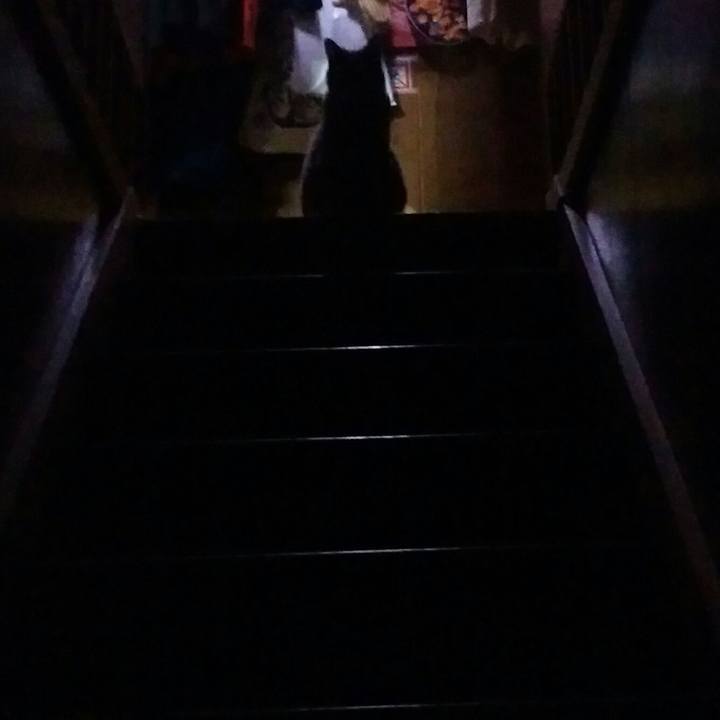 68a008b4 f2b9 4d1c 85d7 7f4b930f689e 1592132547307