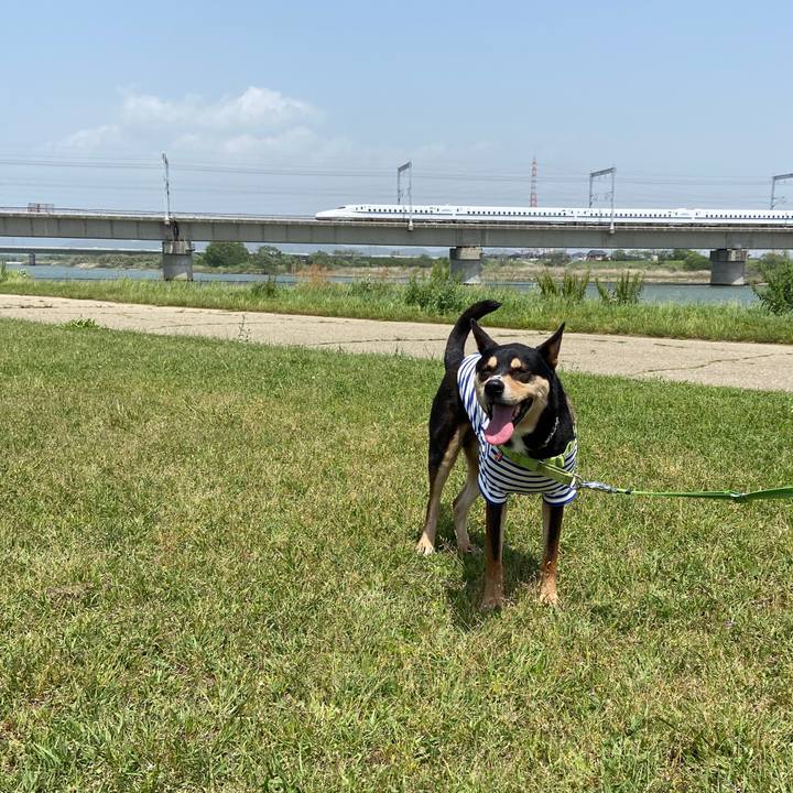 68a0126e fc98 46c9 87f9 5076c555c1d3 1620560084471