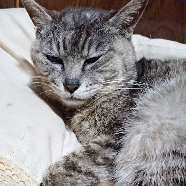 68a0173c ae27 4d1d 85fd ba4e4f515a90 1591187159804