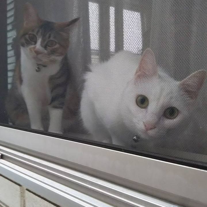 68a024b4 9b67 4476 89c8 0af5c1dbd8f4 1657404895658