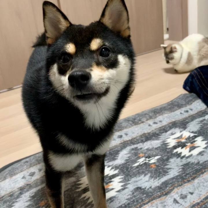 68a04f2e 6bb6 4fb2 9702 97b3f589a2c8 1578488148841