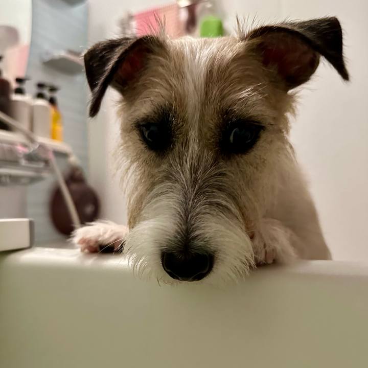 68a09500 421e 4889 a885 ed9e84ee86a2 1729346097948