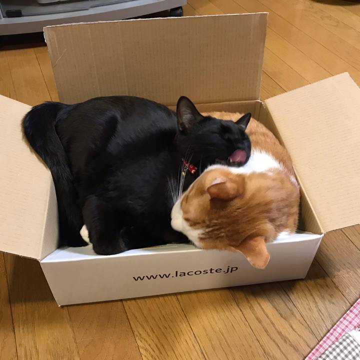 68a0b5ef 348e 4d24 915c cb5b882f947f 1588773024450