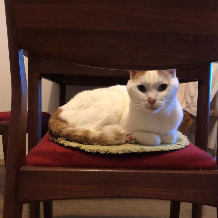 68a0e792 1342 496e 9112 9b9625ec61e5 1671803471083