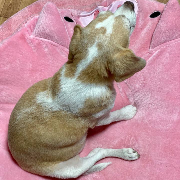 68a113e3 5ff7 4399 aca0 d16391157c2e 1576624190382