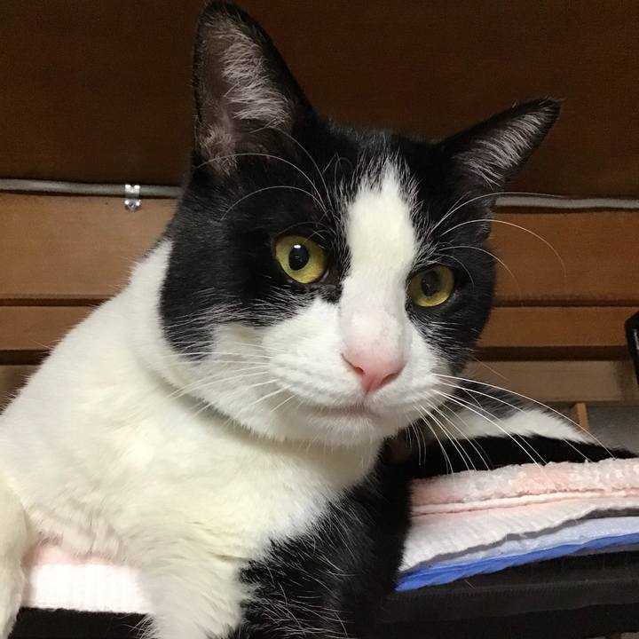 68a143c4 a194 420c 8b06 79ff91762317 1672667358683