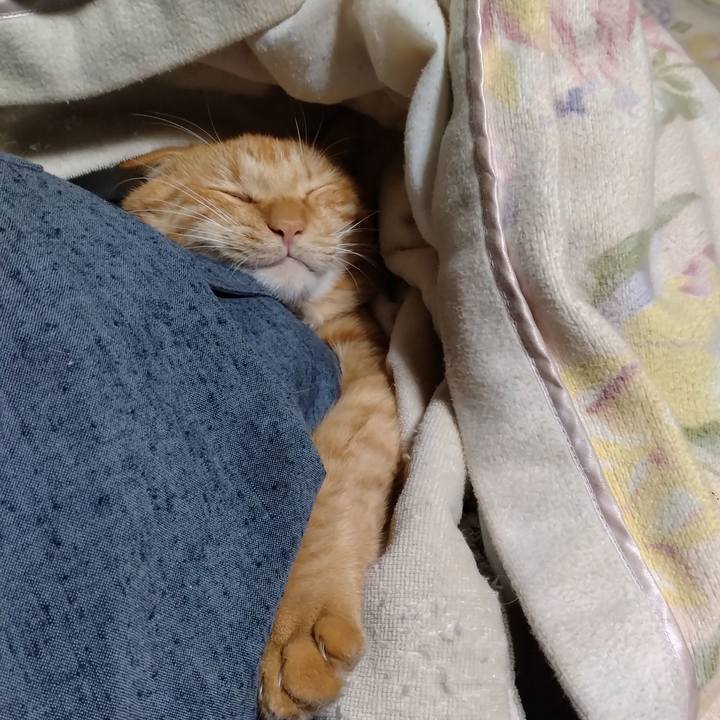 68a16ac6 da88 45cc a859 cbbc5e2f869e 1700310136125