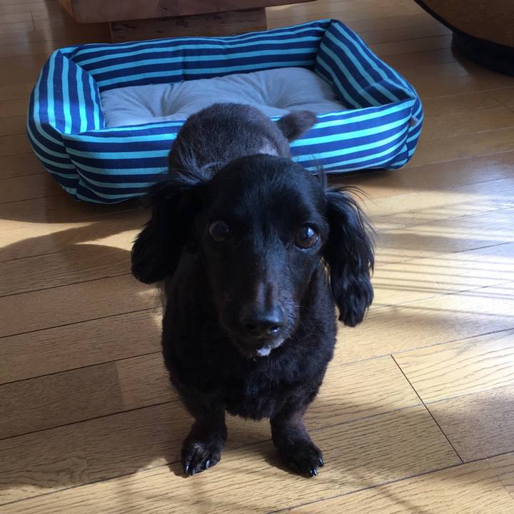 68a1ad20 4b82 4b35 b723 ca6ee1ffdd9f 1531090741620