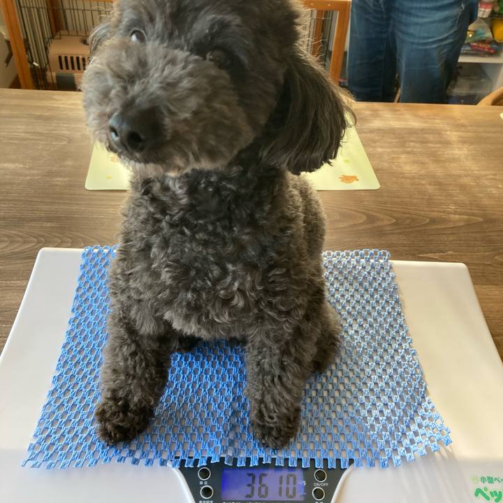 68a20993 c24a 49ef aa24 ba2bf6b2b952 1621525494770