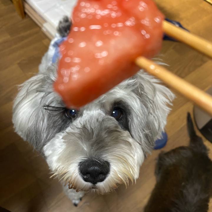 68a21ed4 f305 4128 80b9 387dc62a8d90 1629043867481