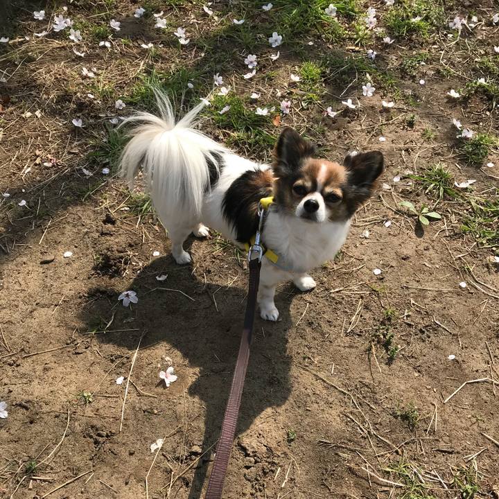 68a241ae 77d1 479b b88f 83a8dc354805 1522206022229