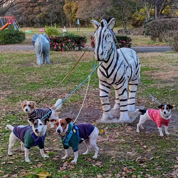 68a2843c b5cc 4c04 a696 2327f22cf9fb 1639221737764