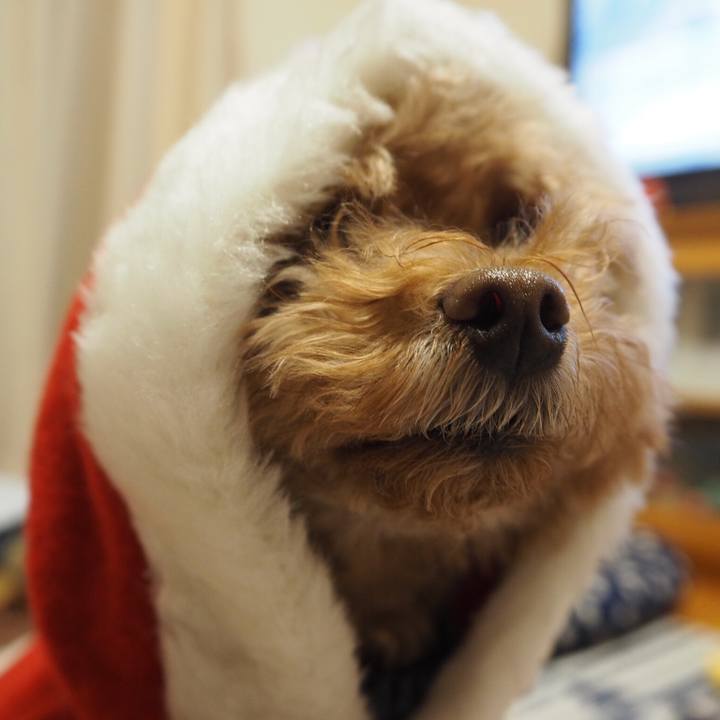 68a284ee 550f 4c5a 9ce2 57d57bfece96 1511396723868