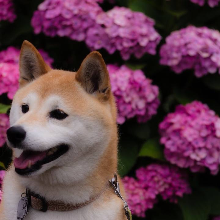 68a29b14 c59c 4dbe ad62 5cd747d9fad3 1529470535376