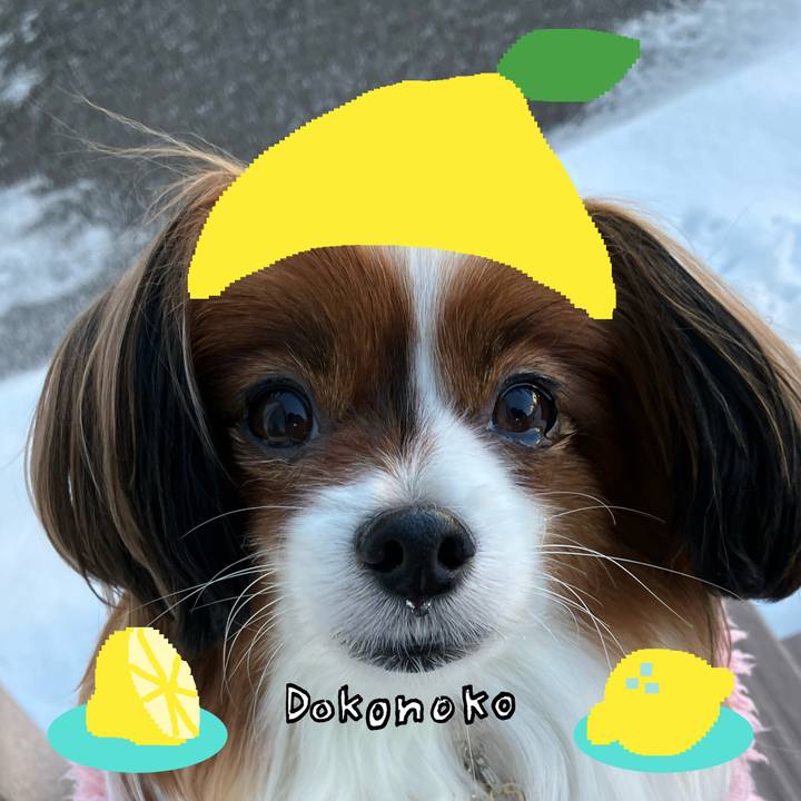 68a2c9c8 ebeb 4427 8680 4d5f615cad5f 1741078964283