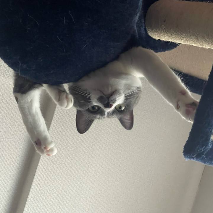 68a2e4a4 63b0 4026 8cd4 6b5c6e98c6f1 1627116551132