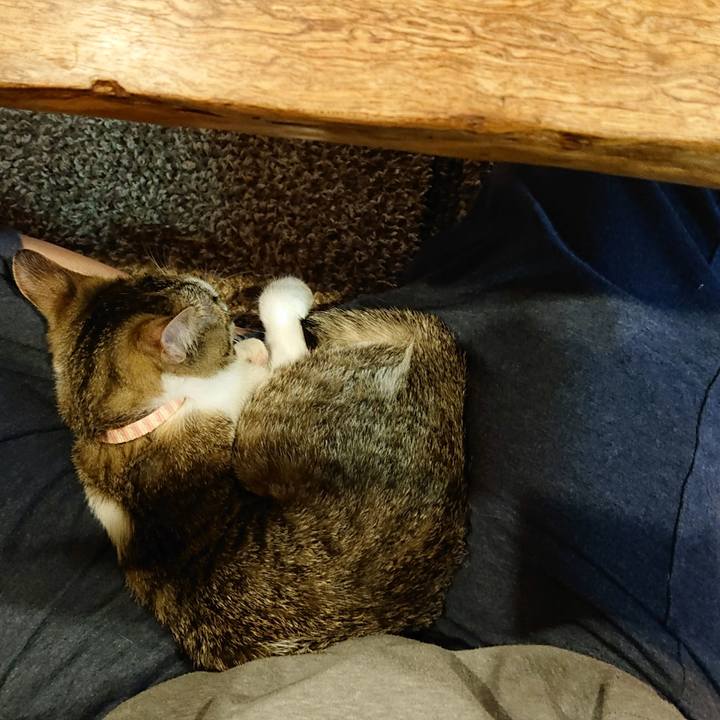 68a2e711 2424 4497 b0c7 8c515aeb3596 1551527828993