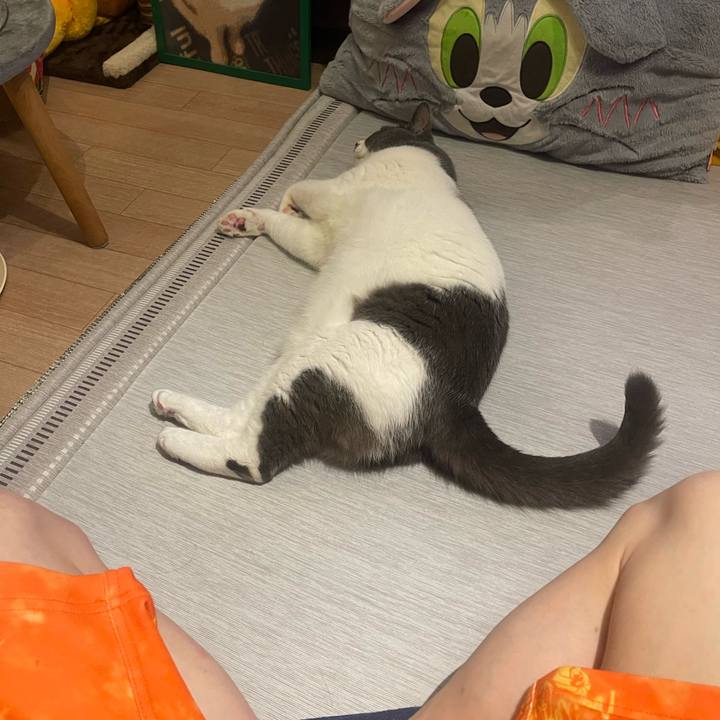 68a34a0b 5aac 467e b2ed f4355d1fddb8 1752769849739