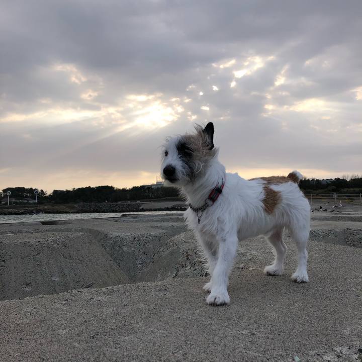 68a35a86 2667 442b 8bbb 72fb00dbba81 1604790356737