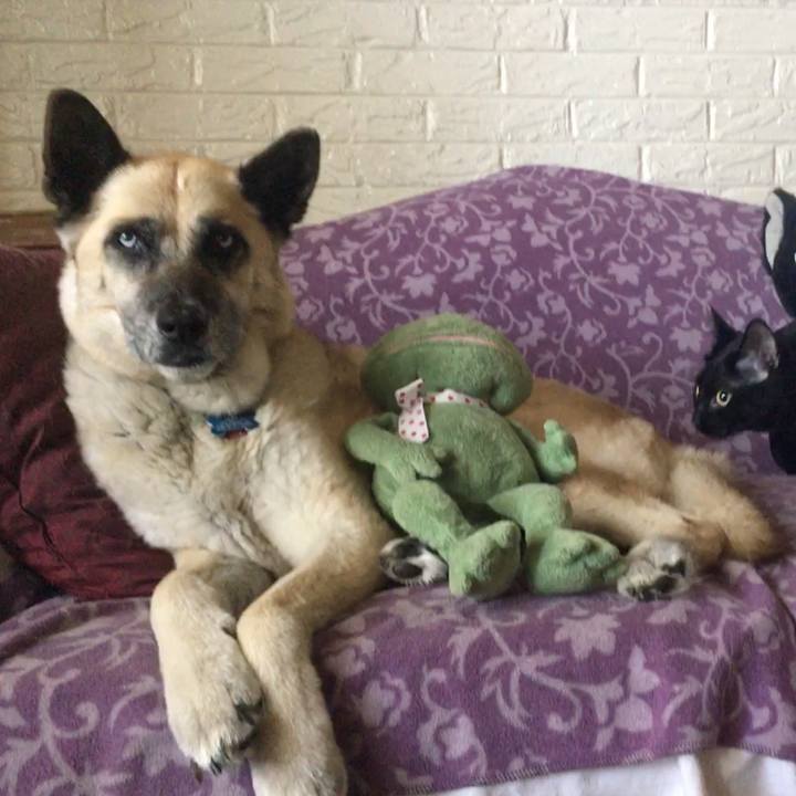 68a36c7e 8e59 4d36 bc65 a8e3b14ec908 1526514432309