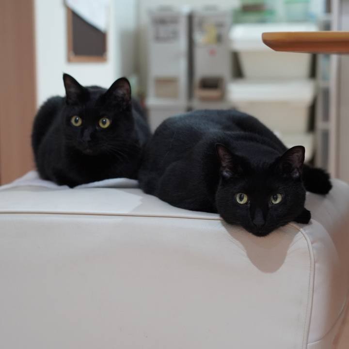 68a374eb 3a97 4207 bc5b 143b0b3a6bae 1623765290250