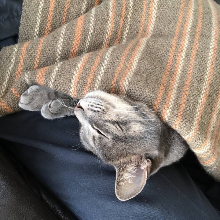 68a378cb 6b2c 4d2b 891d 0ed6a2041051 1512265222083