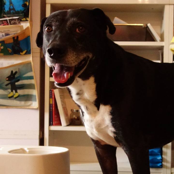 68a395a1 4e1c 4cb6 b412 a2c66dc7a5da 1750462829302