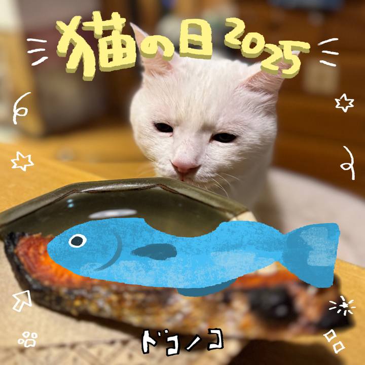 68a3bf89 d15a 4b03 89ba 25e4940bddcb 1740223342805